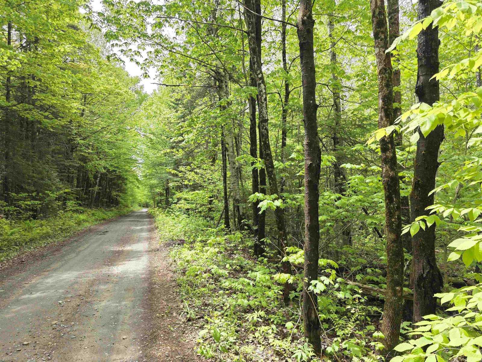 1500 Allard Hill Road, Wheelock