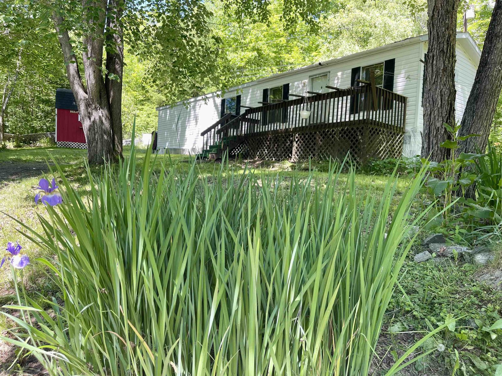 62 Maple Tree Lane, Concord