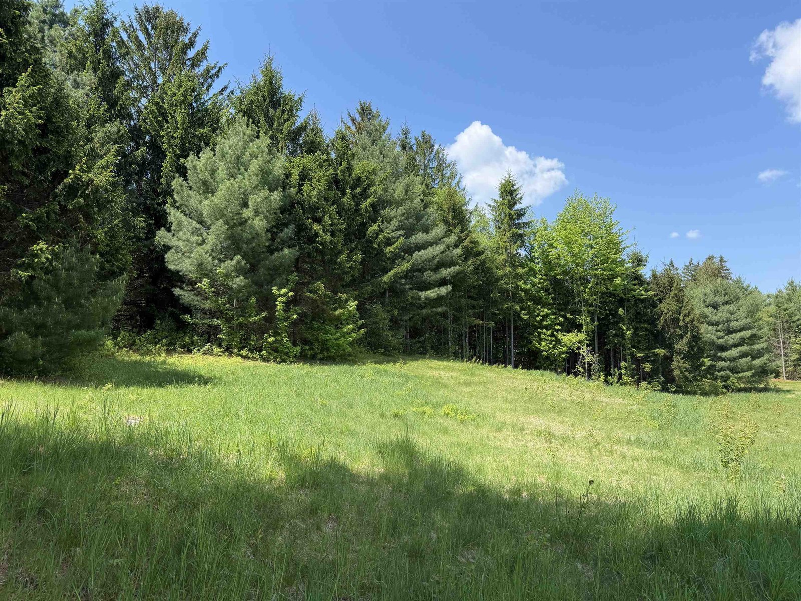 21 Dinky Lane, Morristown