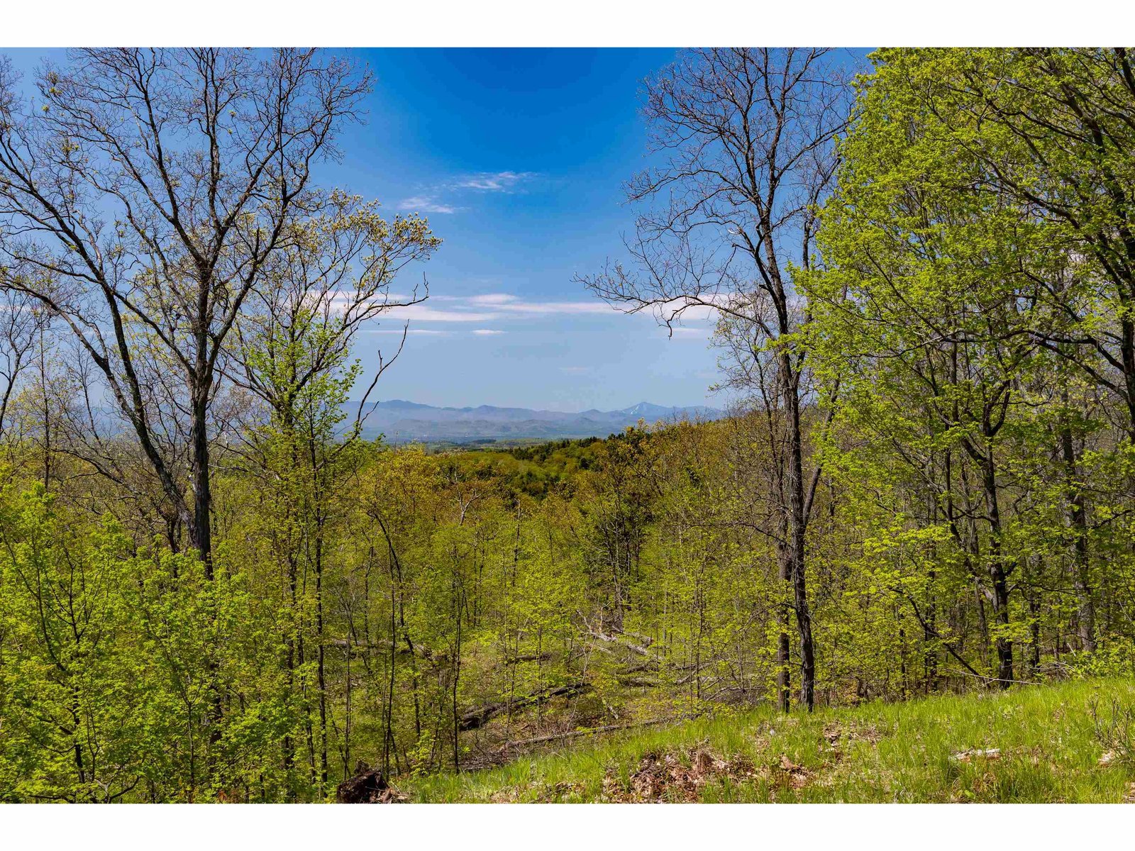 189 Shagbark Lane, Williston