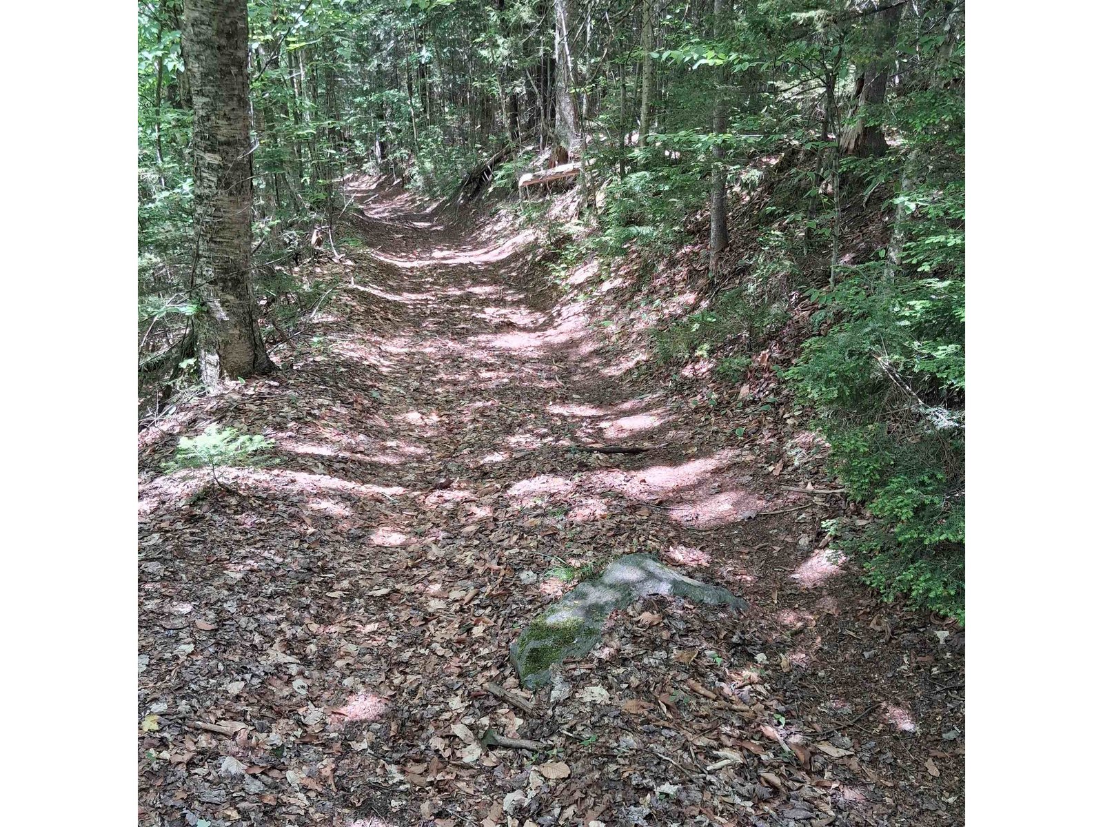 Lot 15 +37 acre Spruce Lane, Eden