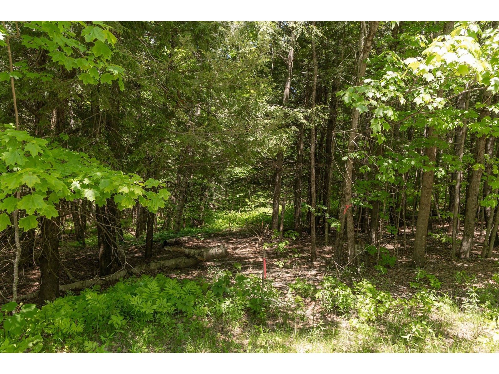 1243 North Hollow Road, Stowe