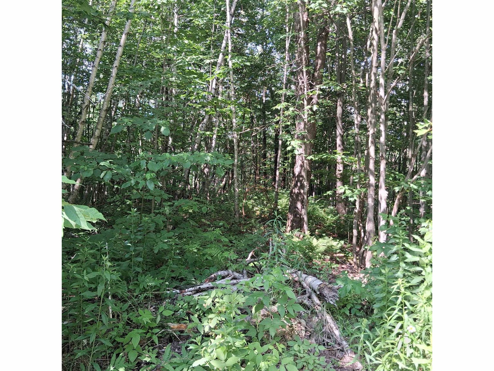 Lot 2 Ballground Road, Westfield