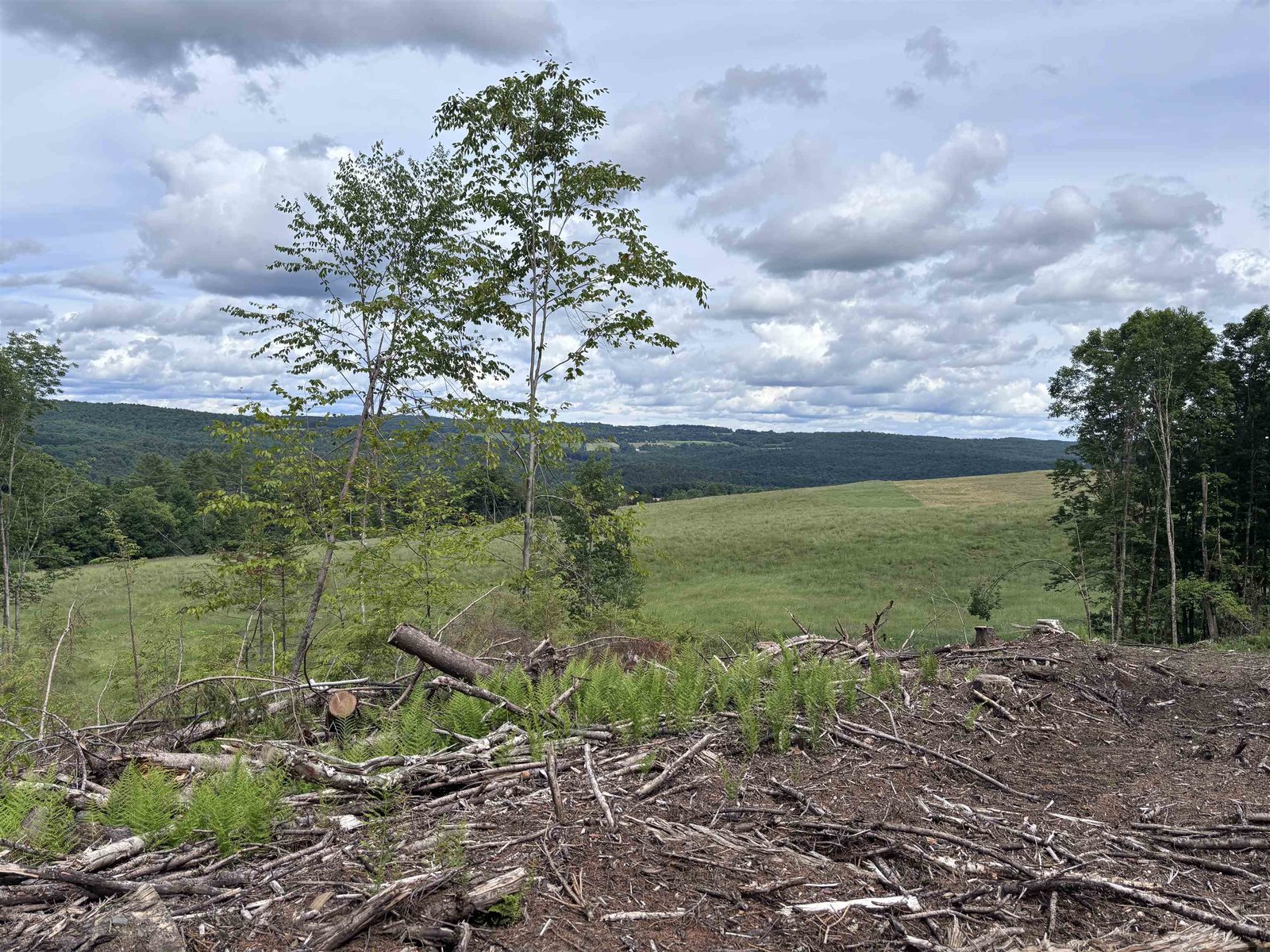 0 Davis Acres Road, Brookfield
