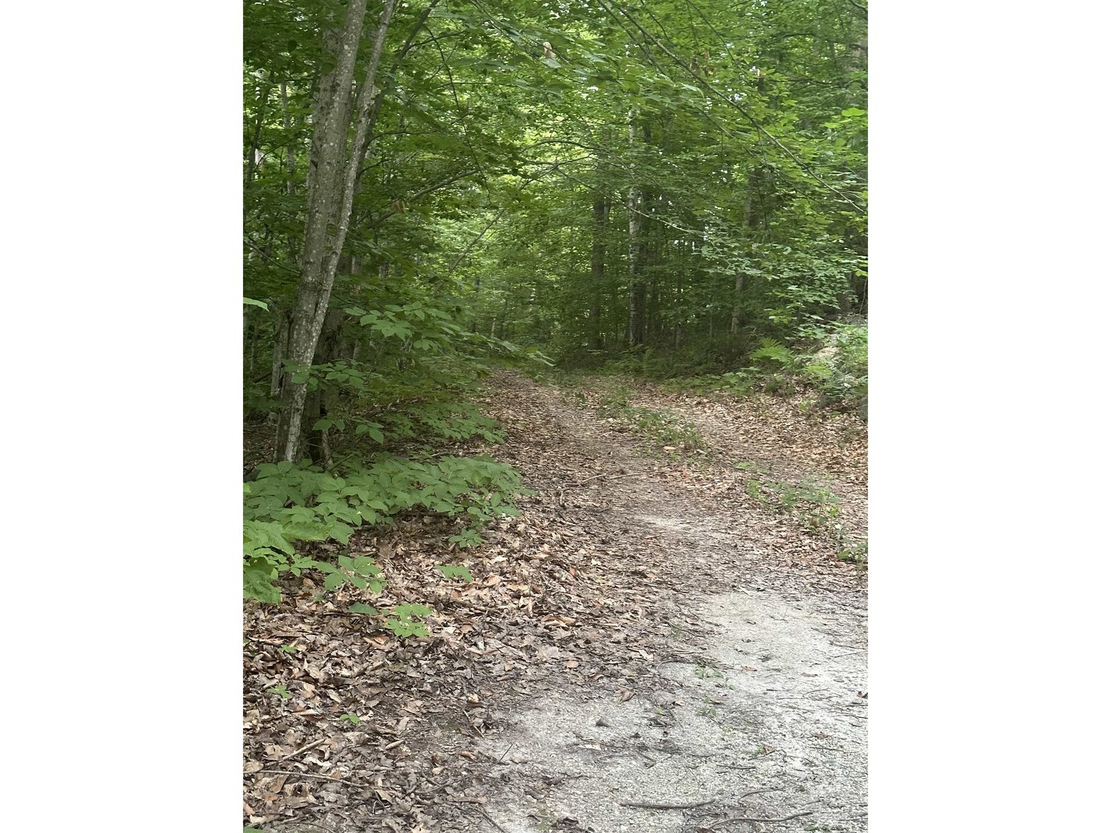 Gravel Driveway