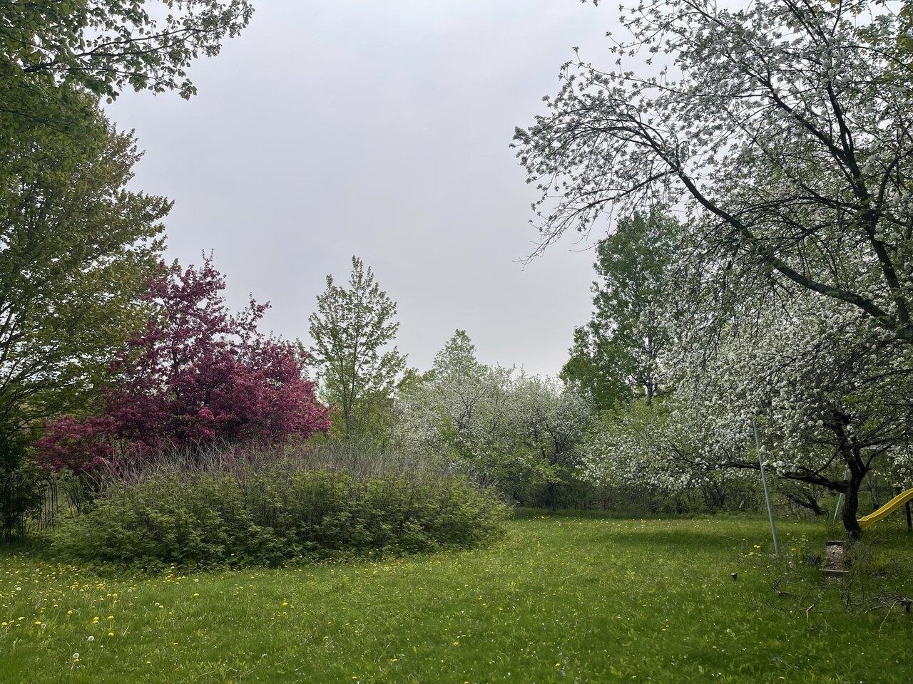 51 Rainy View Lane