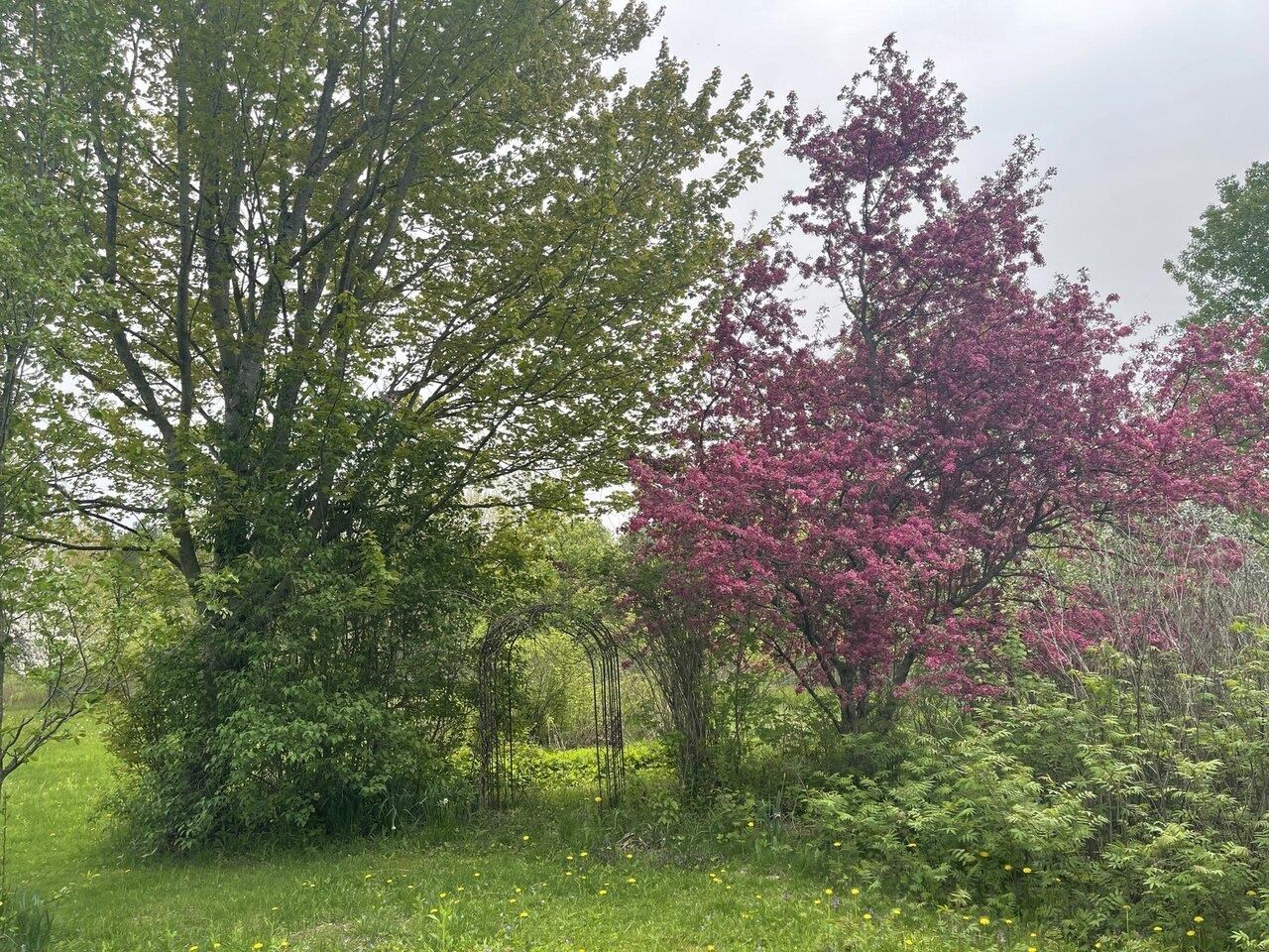 51 Rainy View Lane