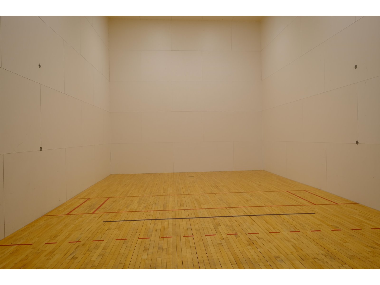 Racquet ball / pickle ball