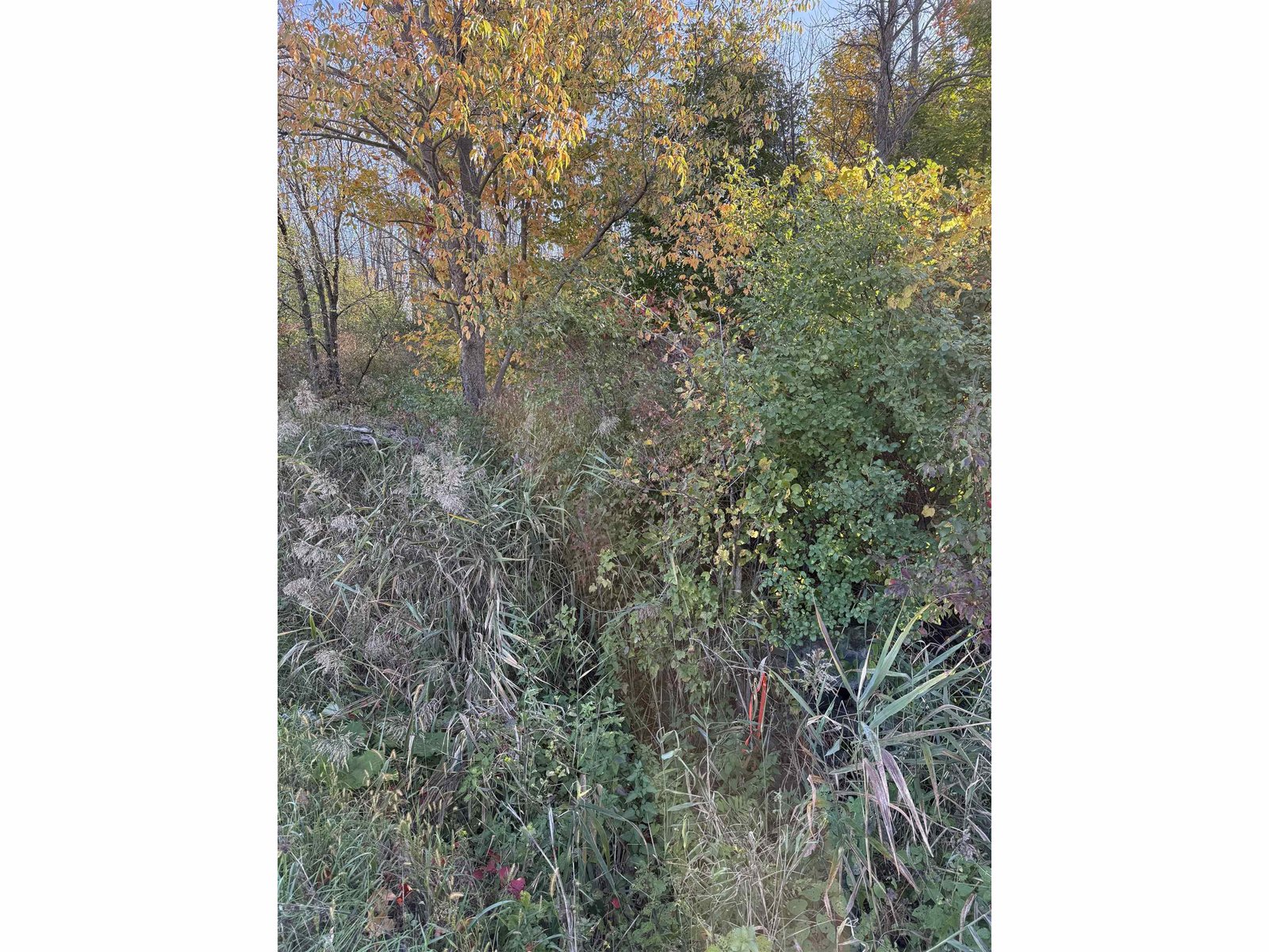 512 Middle Road