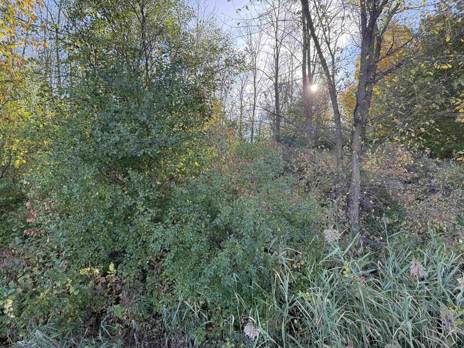 512 Middle Road