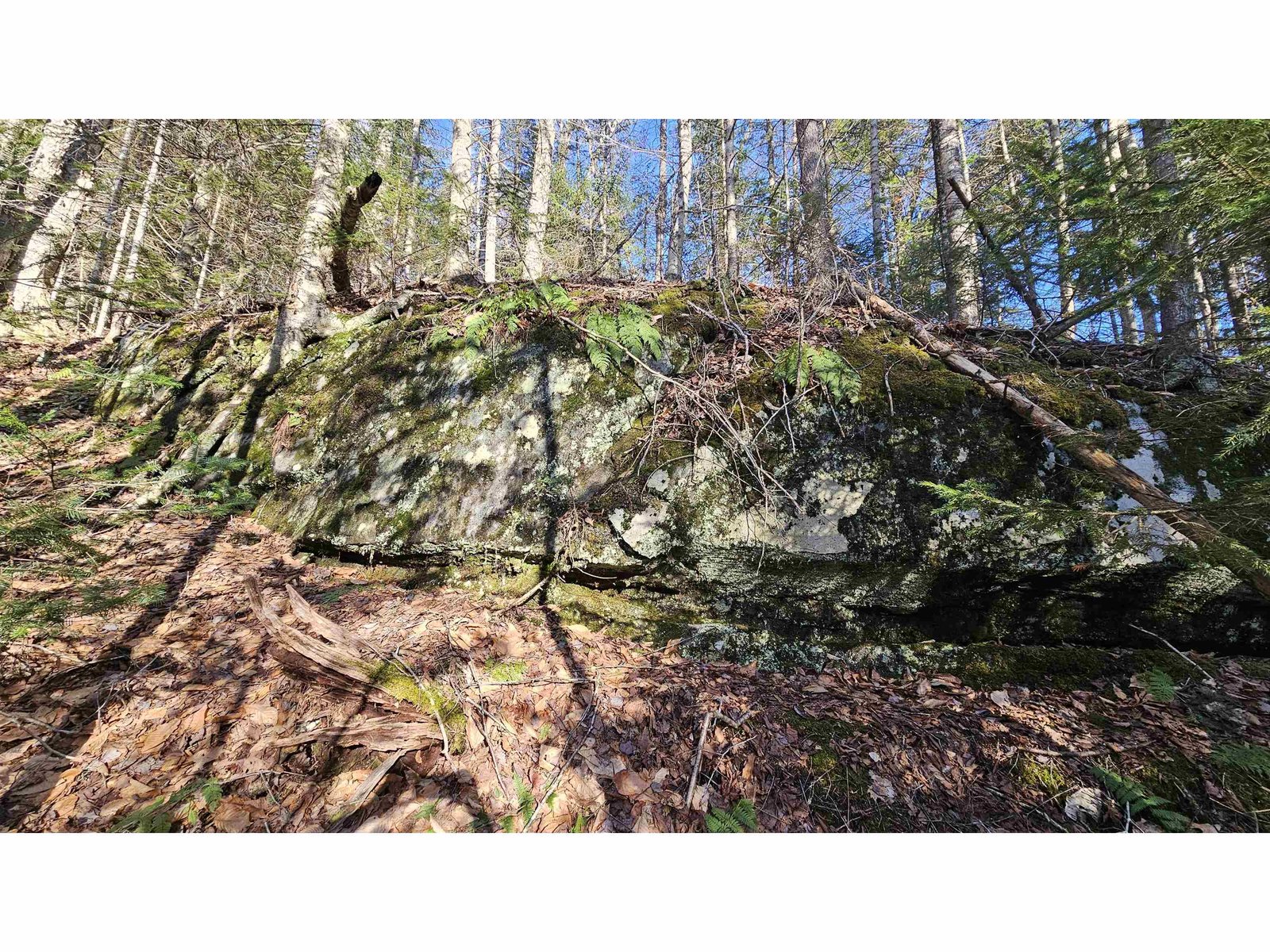 512 Woodbury Mountain Road