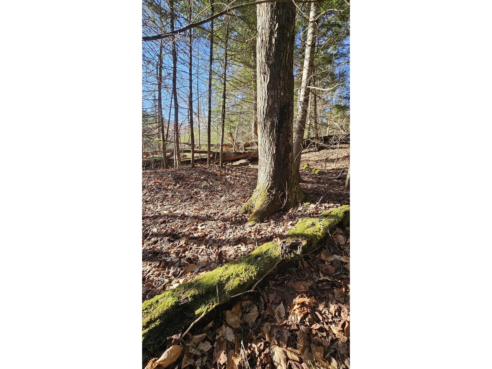 512 Woodbury Mountain Road