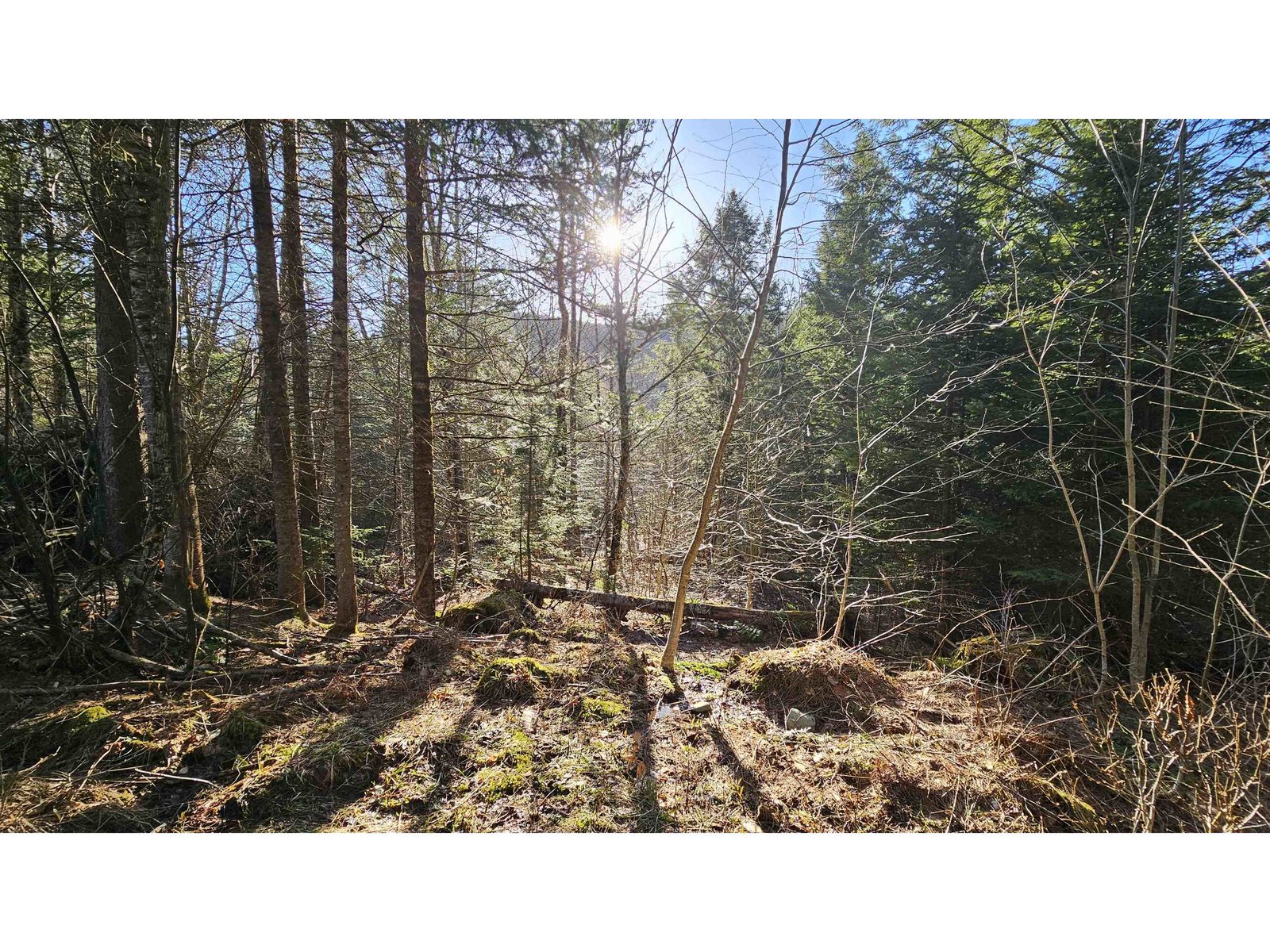 512 Woodbury Mountain Road