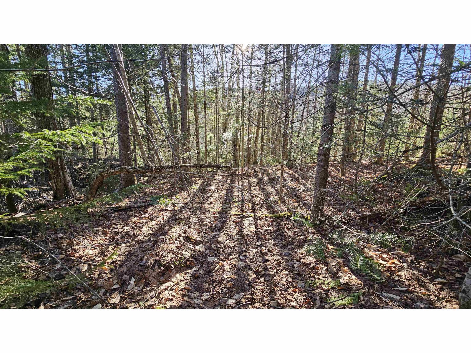 512 Woodbury Mountain Road