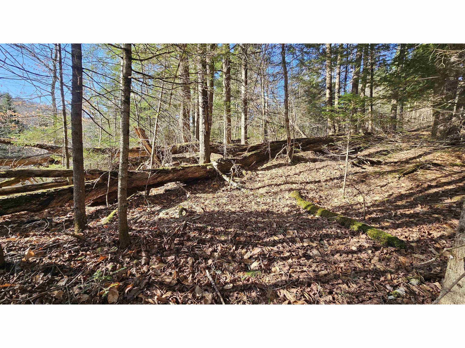 512 Woodbury Mountain Road