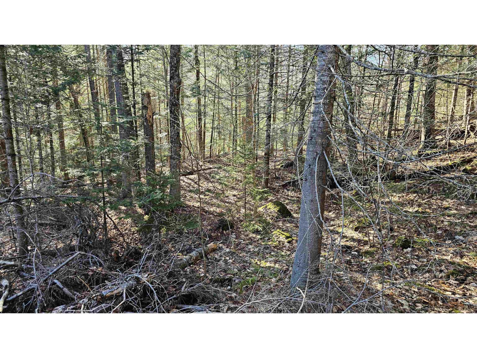 512 Woodbury Mountain Road