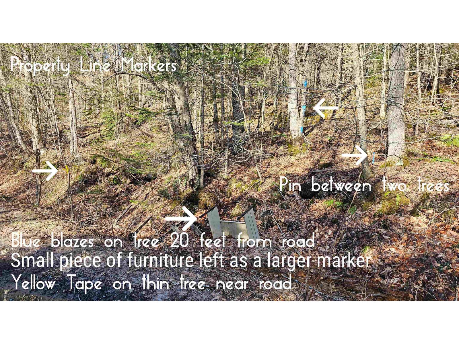 512 Woodbury Mountain Road