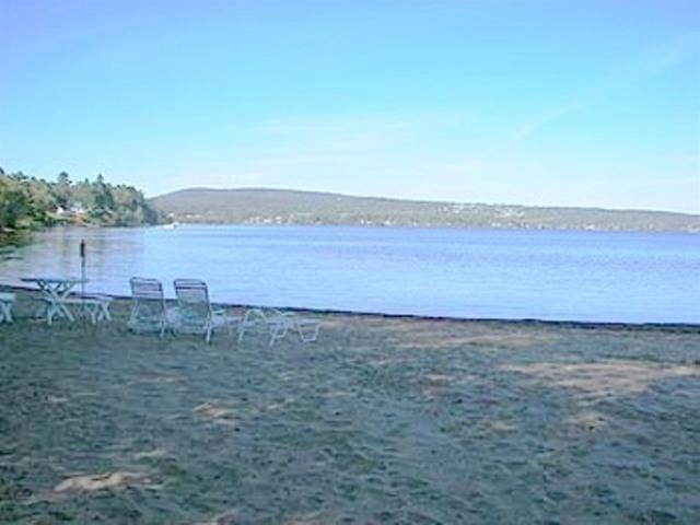 sandy shared beach