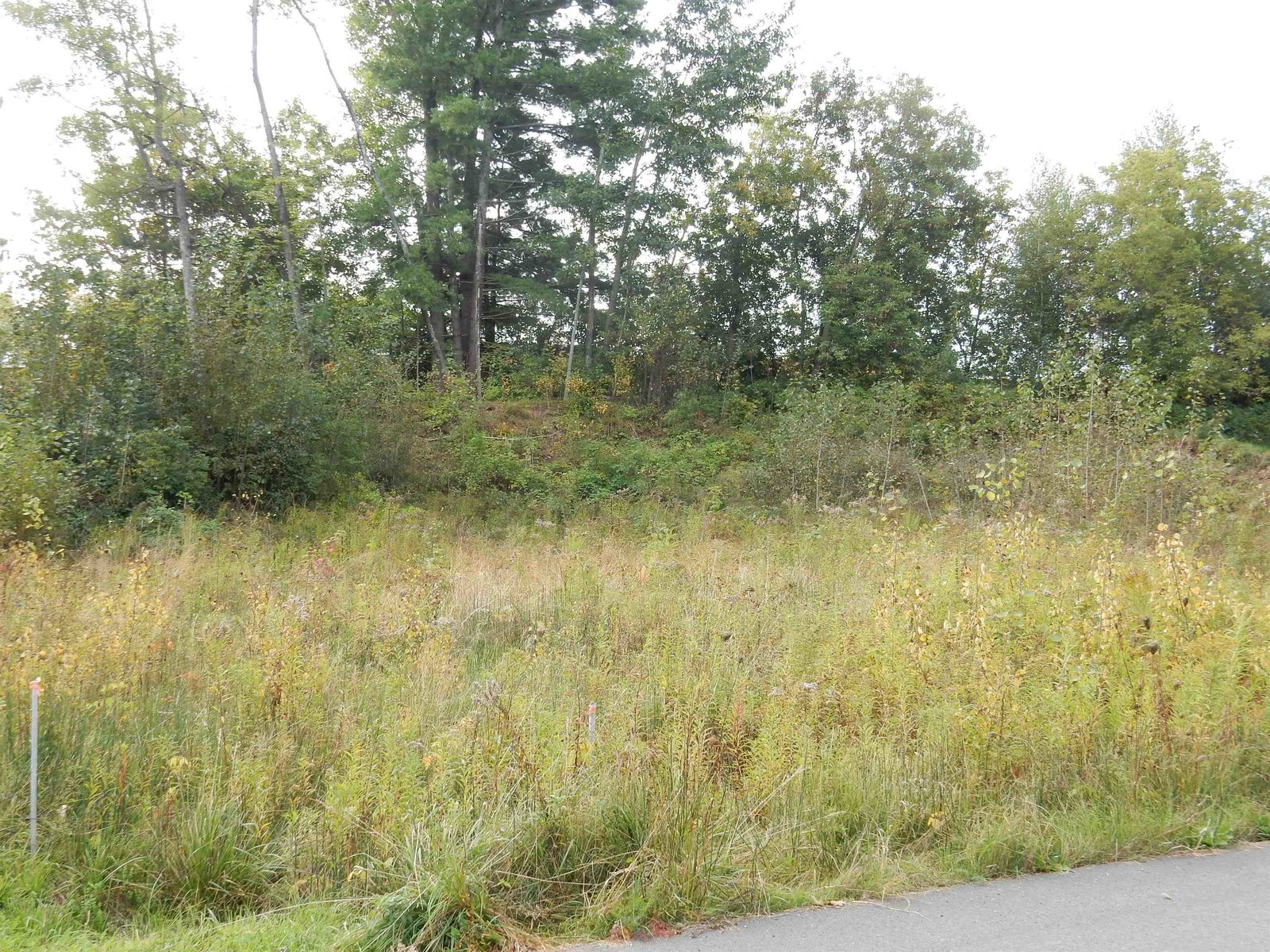 cleared lot