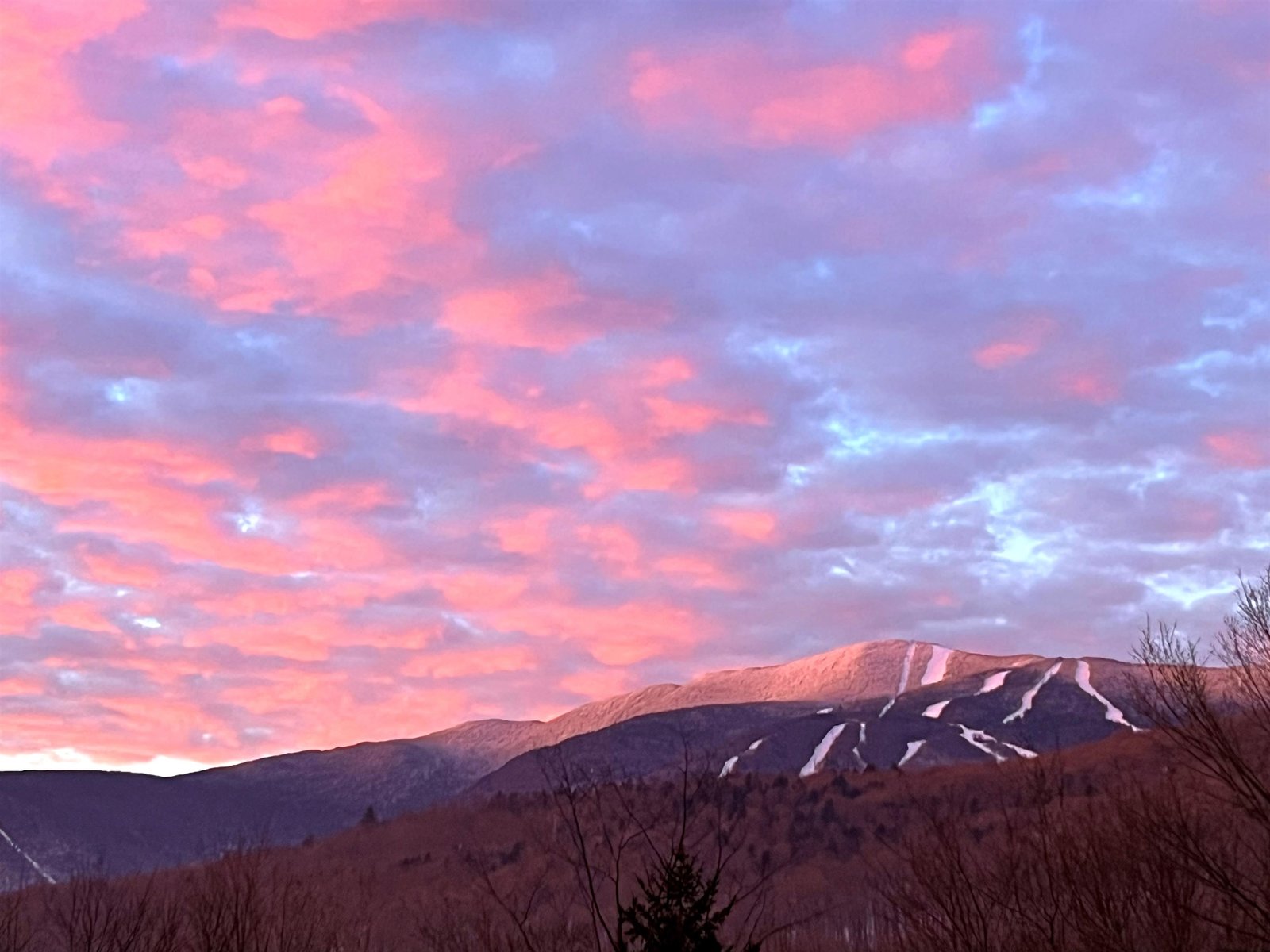 52 Mansfield Road