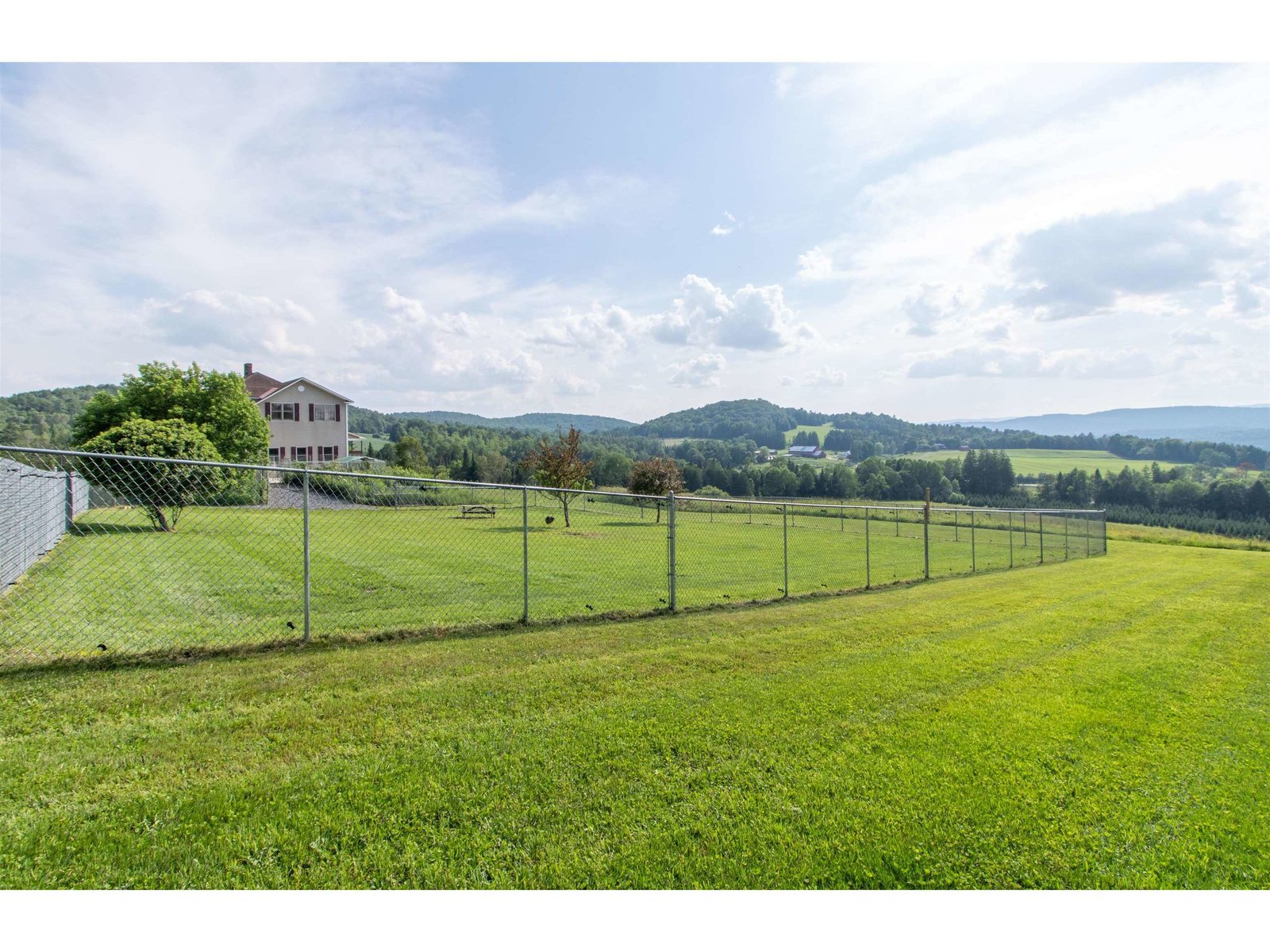 expansive fencing for your four legged friends
