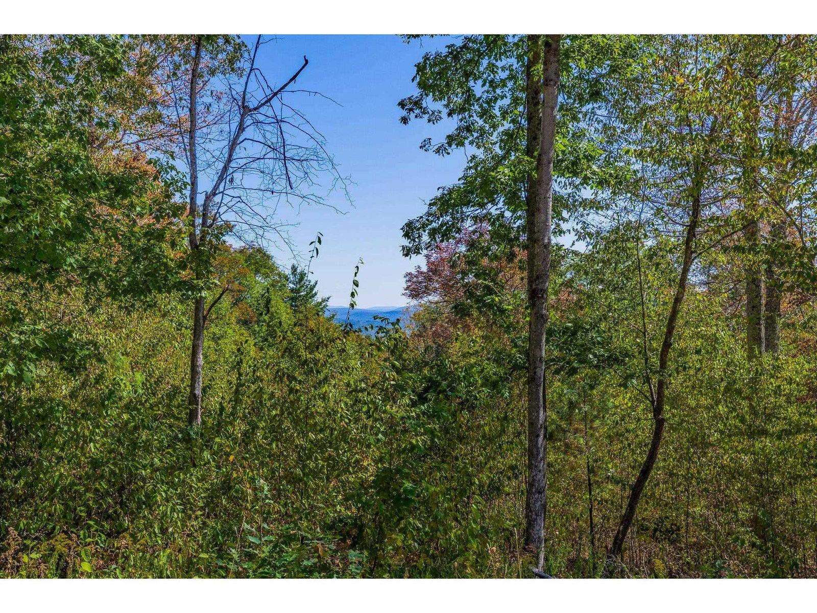 5268 Willard Road