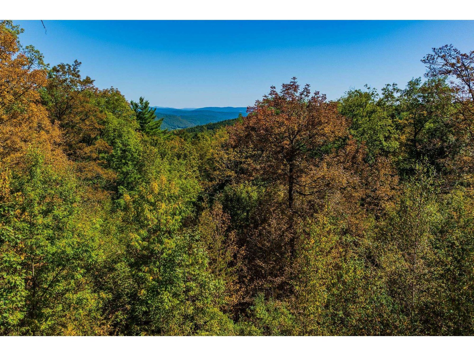 5268 Willard Road