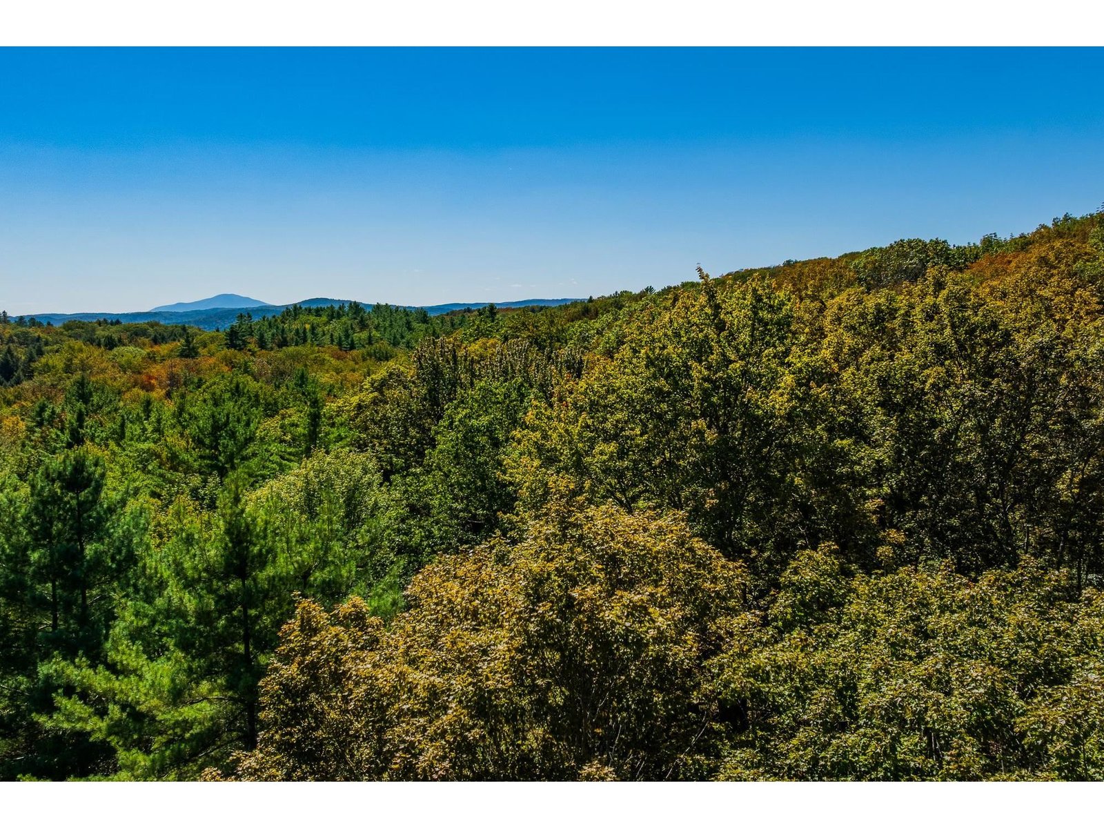 5268 Willard Road