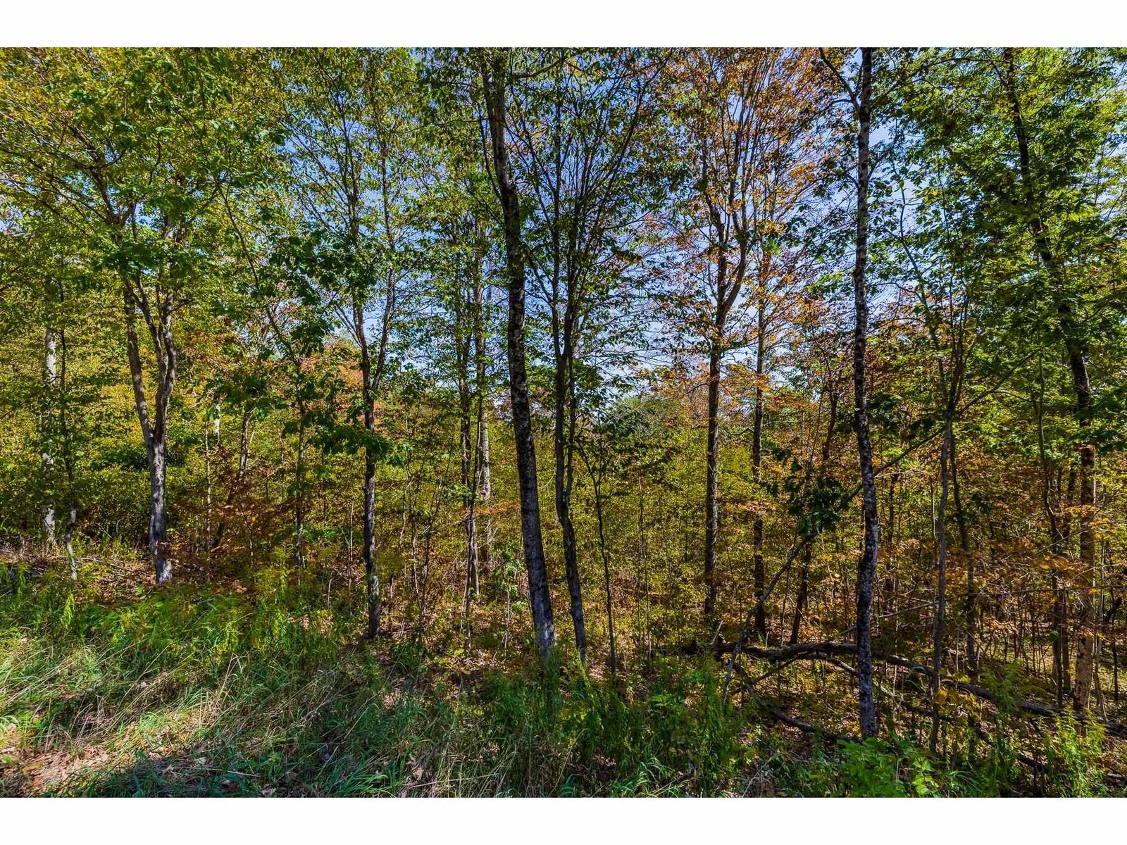 5268 Willard Road