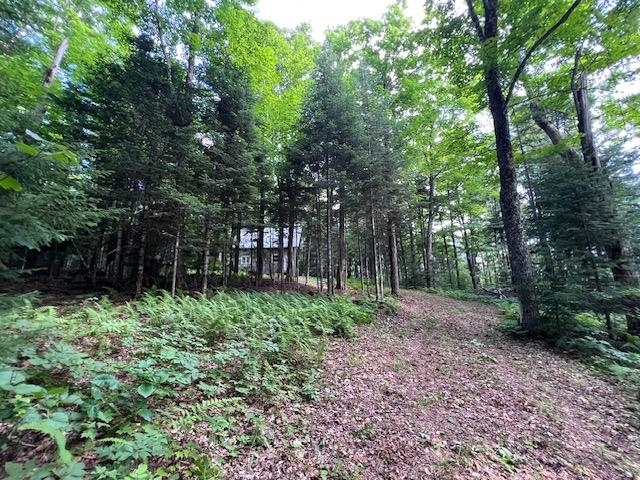 528 Paradise Lane