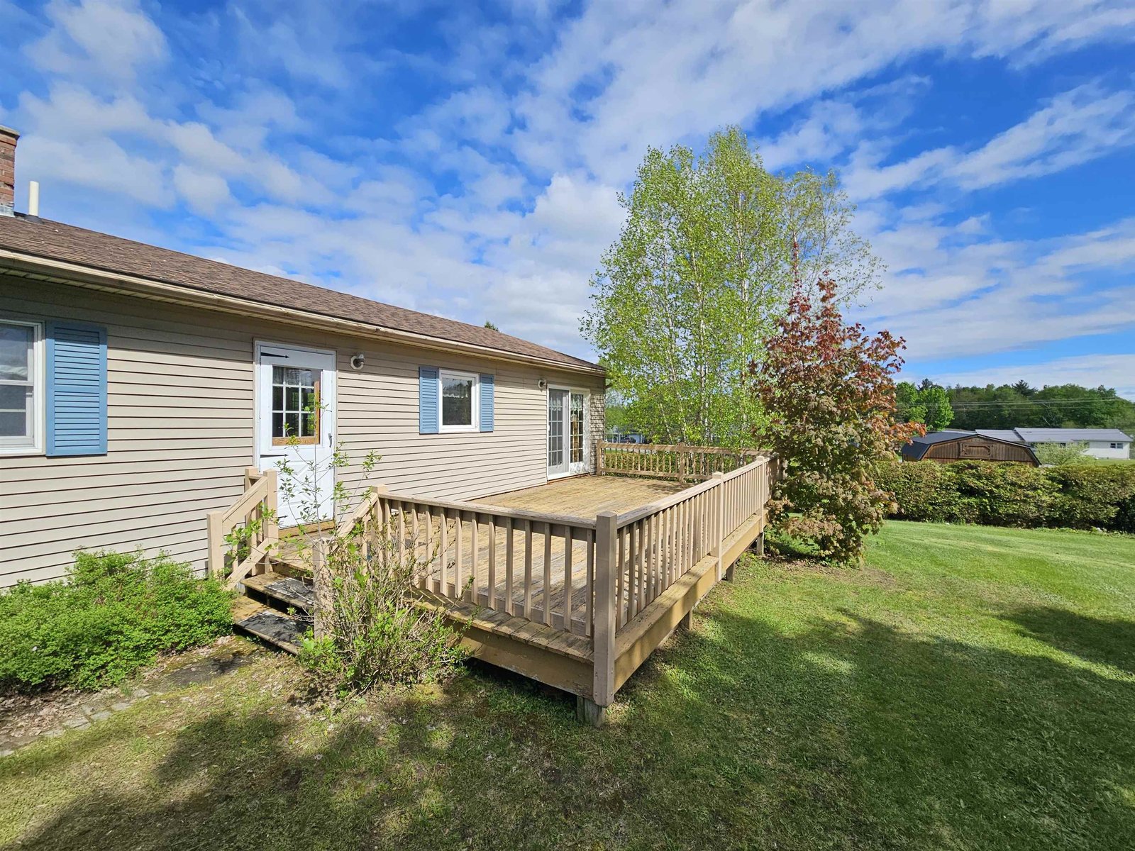 Back Yard