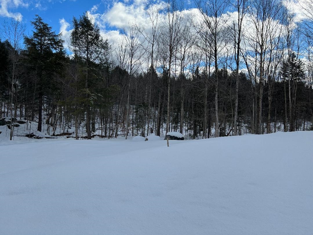 534 Brookview Lane, Wolcott