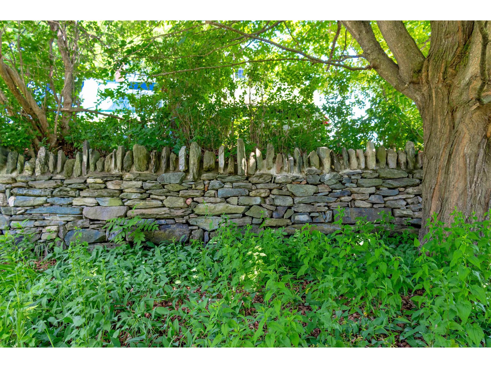 535 Oxbow Road