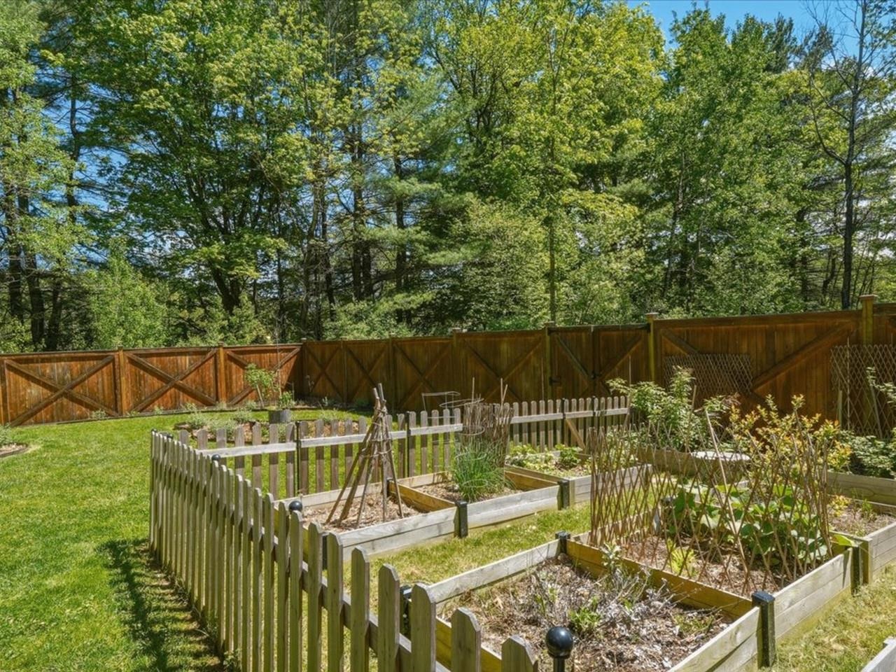 Large garden