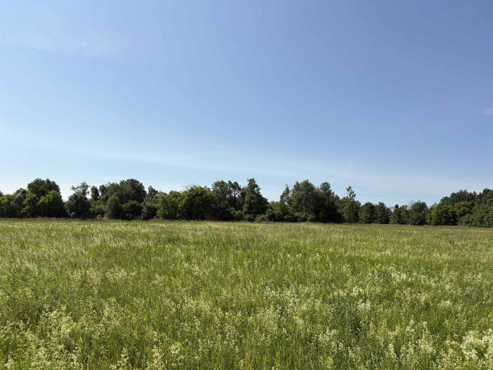 Level Land