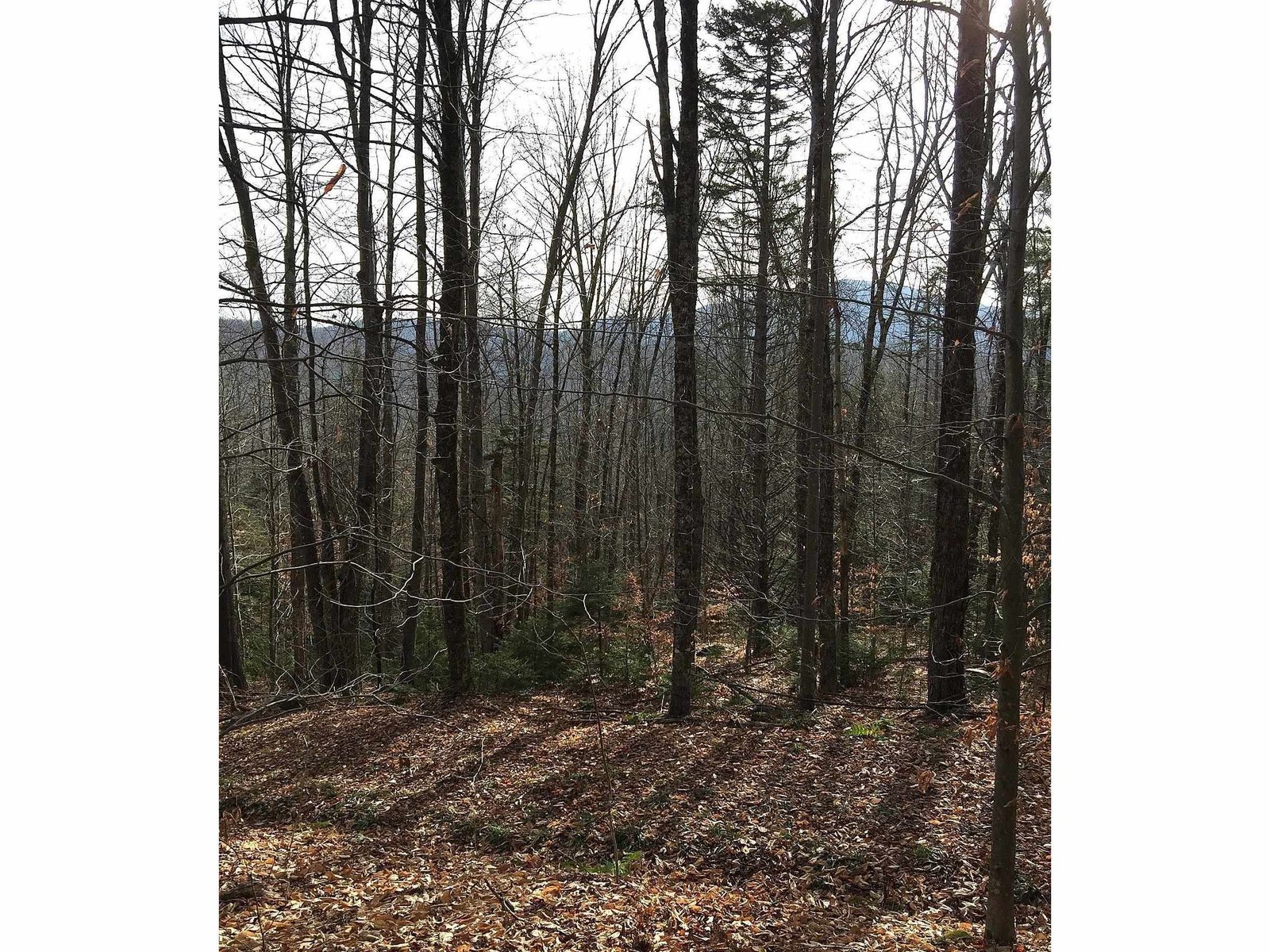 Selective Mountain Views