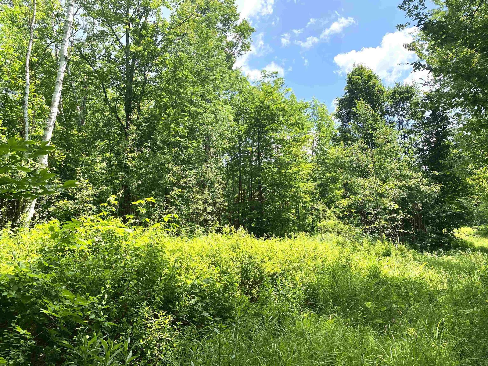 540 Shampeny Hill Road