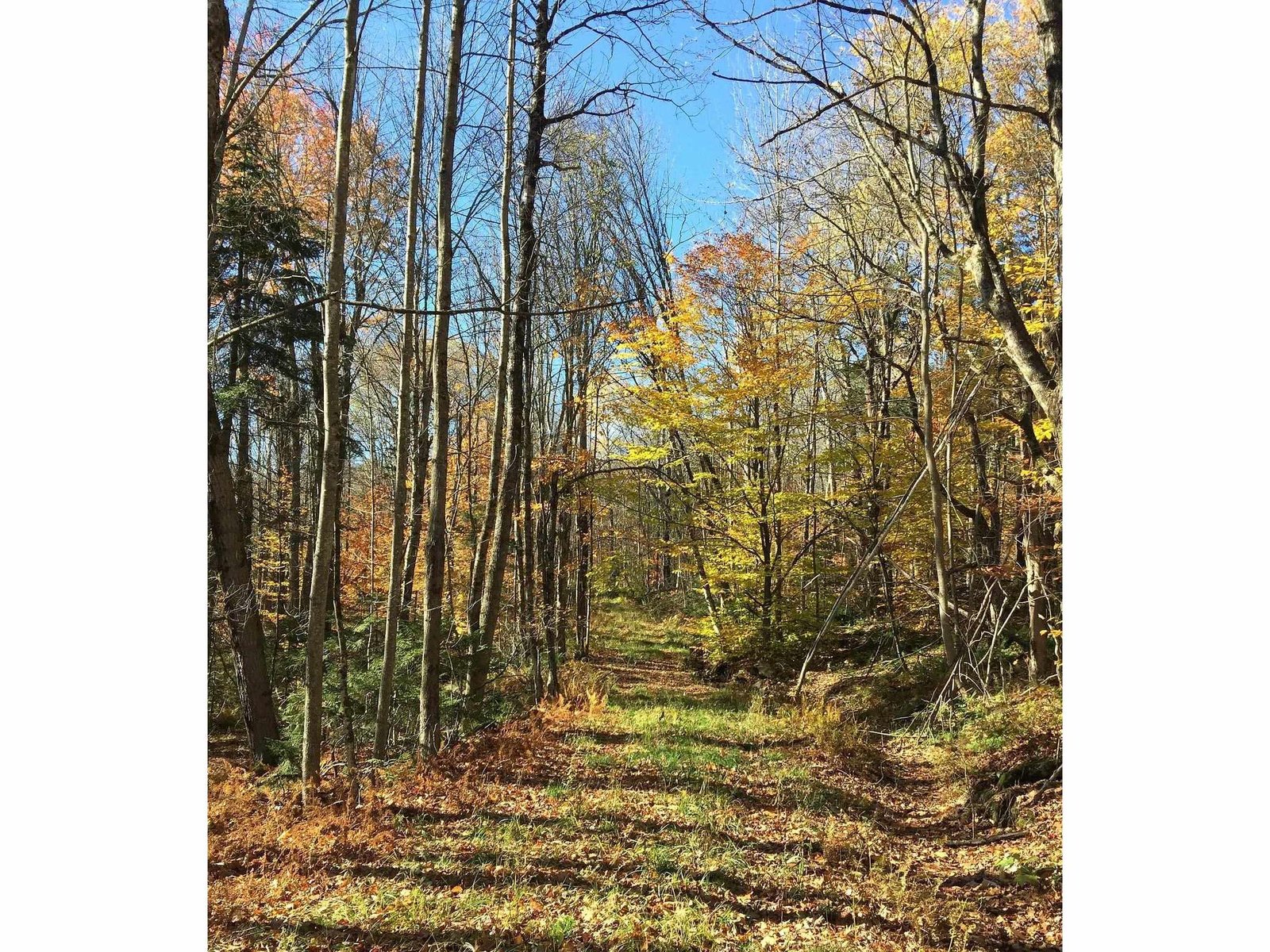 Follow The Road Less Traveled