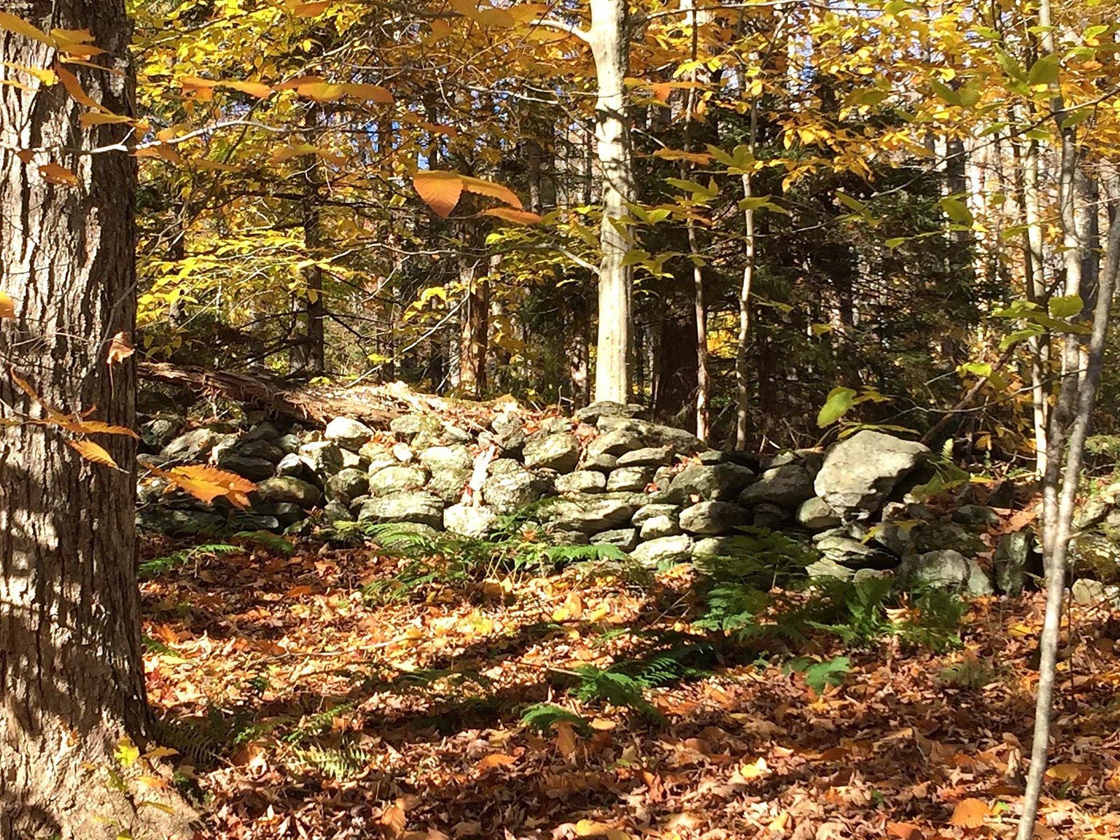 Explore Meandering Old Stonewalls