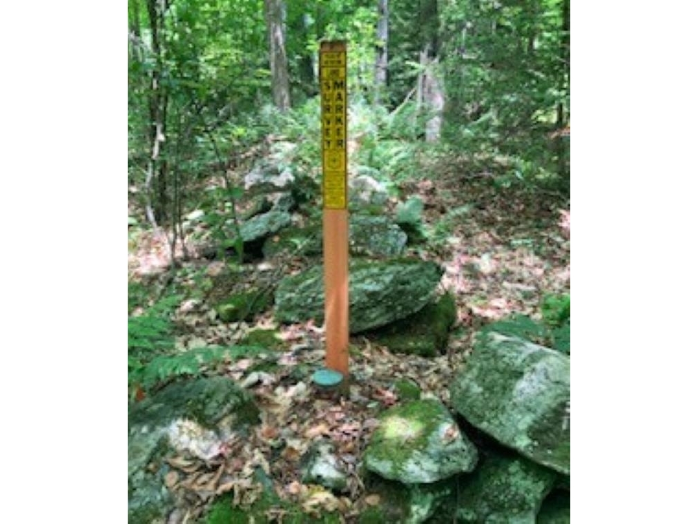 US National Forest Marker On Boundary