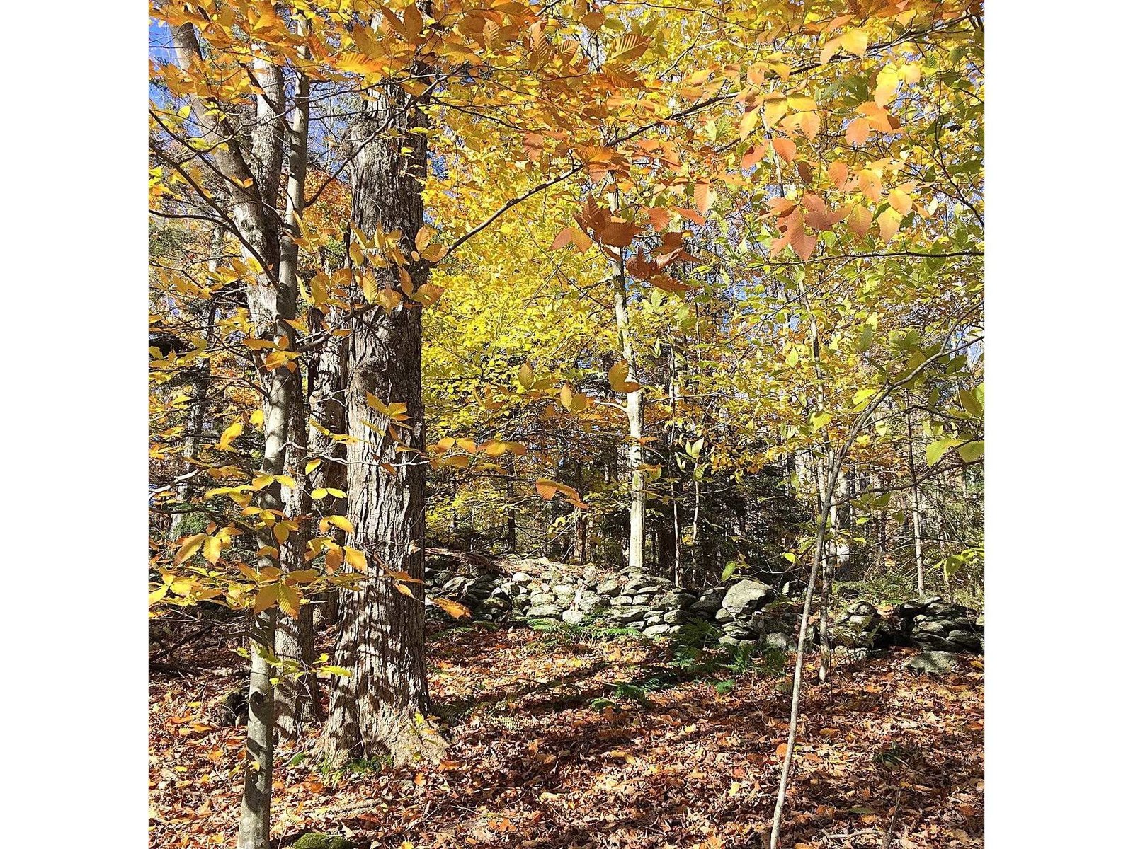 Autumn Splendor