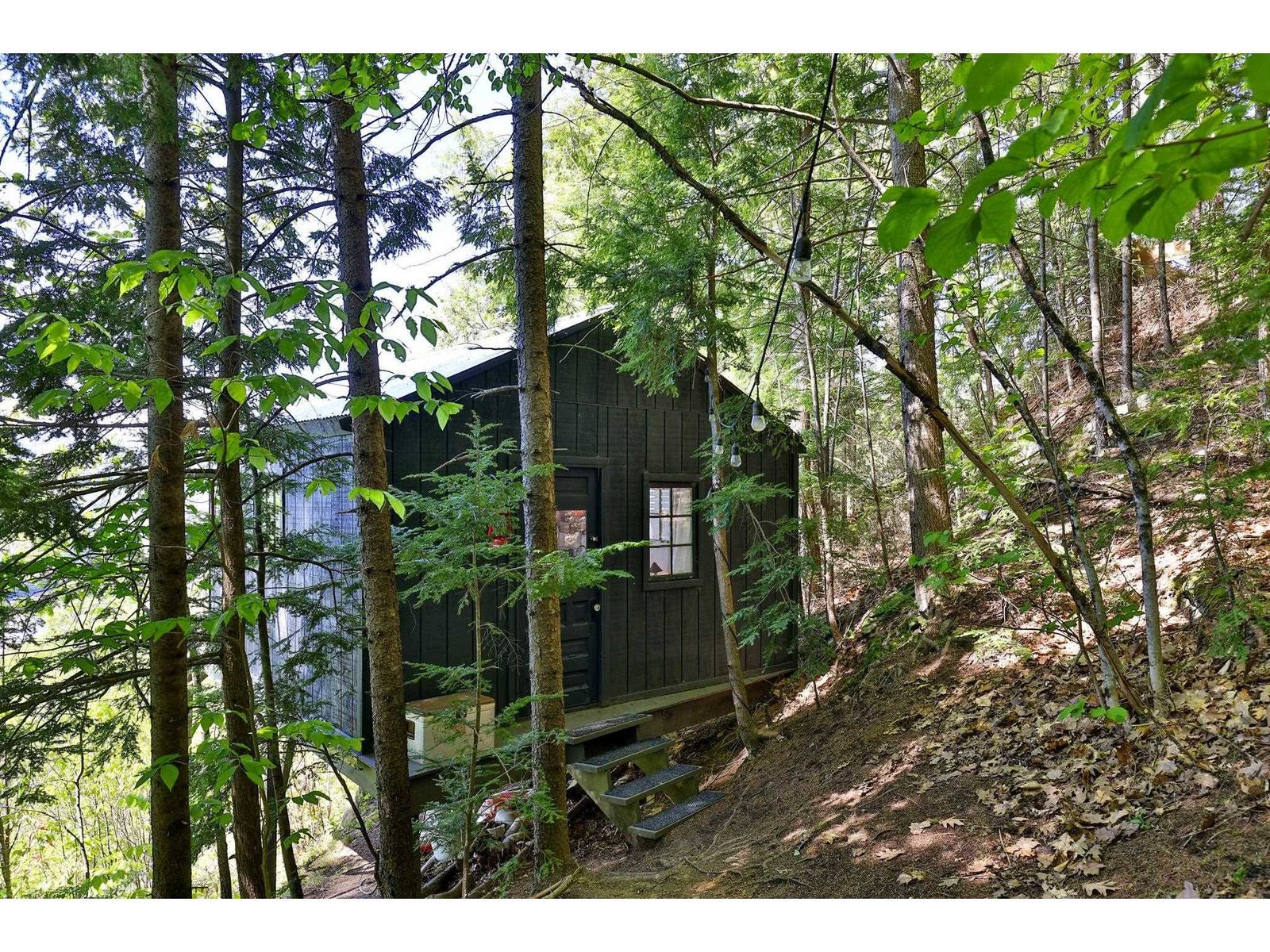 544 Vulture Mountain Road