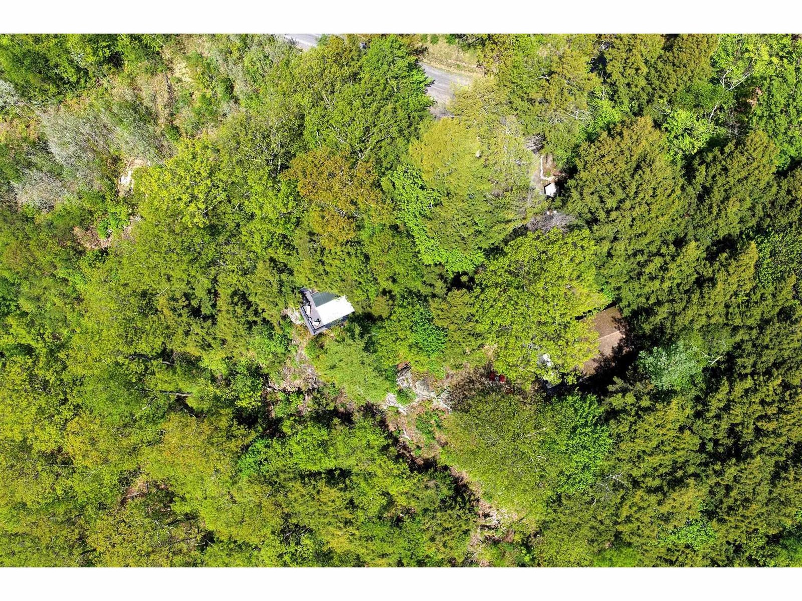 544 Vulture Mountain Road