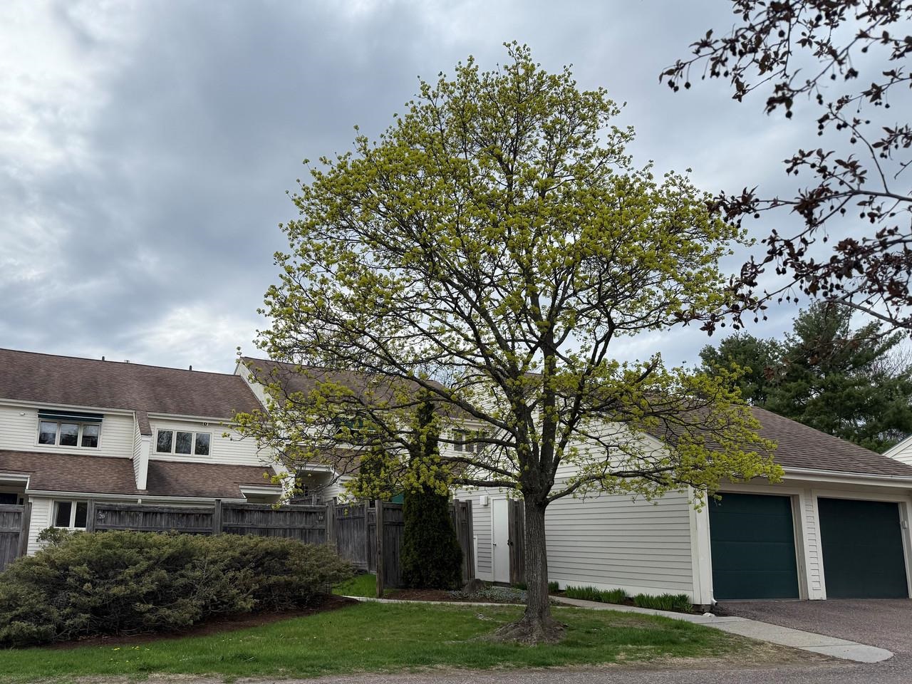 545 South Prospect Street, Unit 22