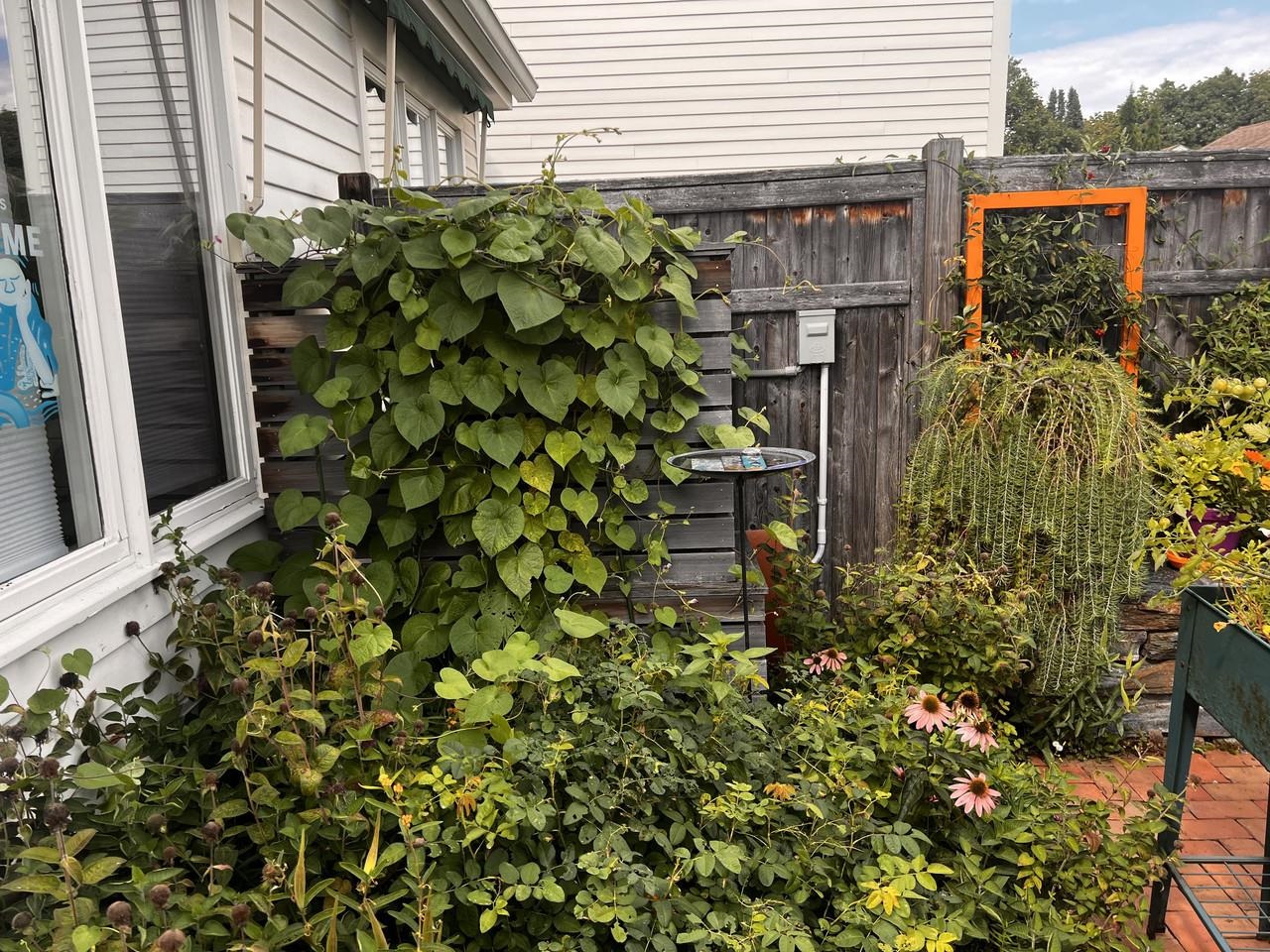 545 South Prospect Street, Unit 22