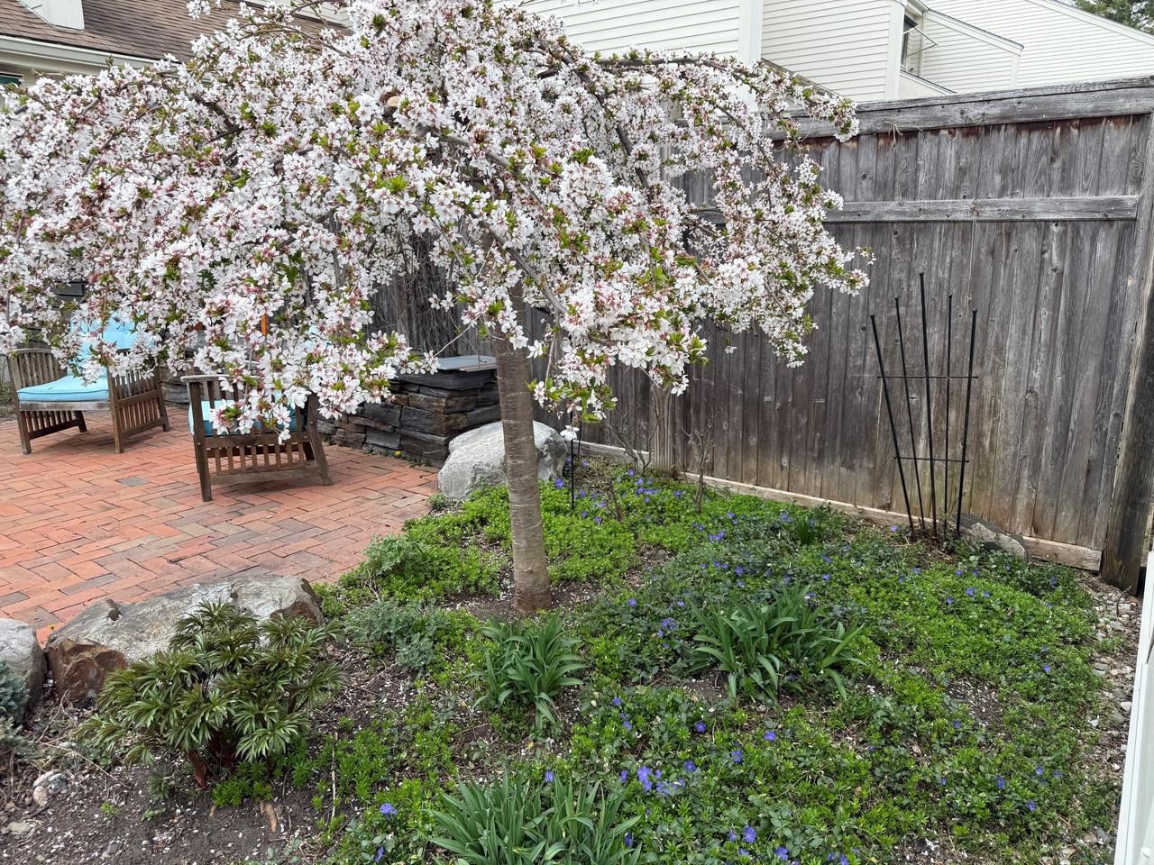 545 South Prospect Street, Unit 22