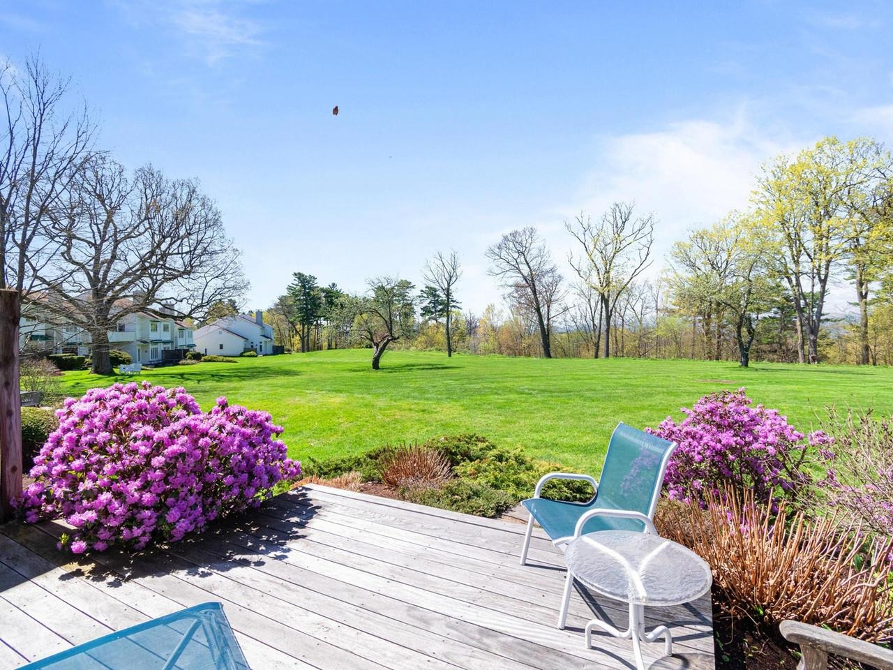 Back deck