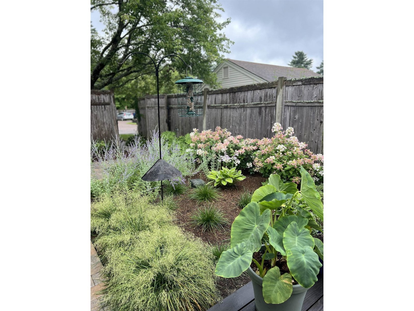 545 South Prospect Street, Unit 35