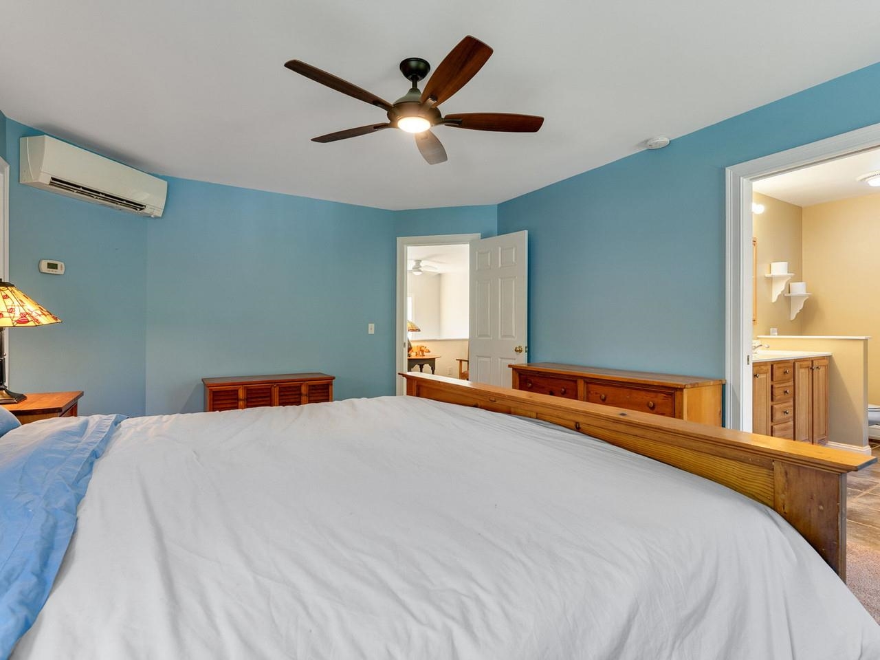 Mini-split & ceiling fan