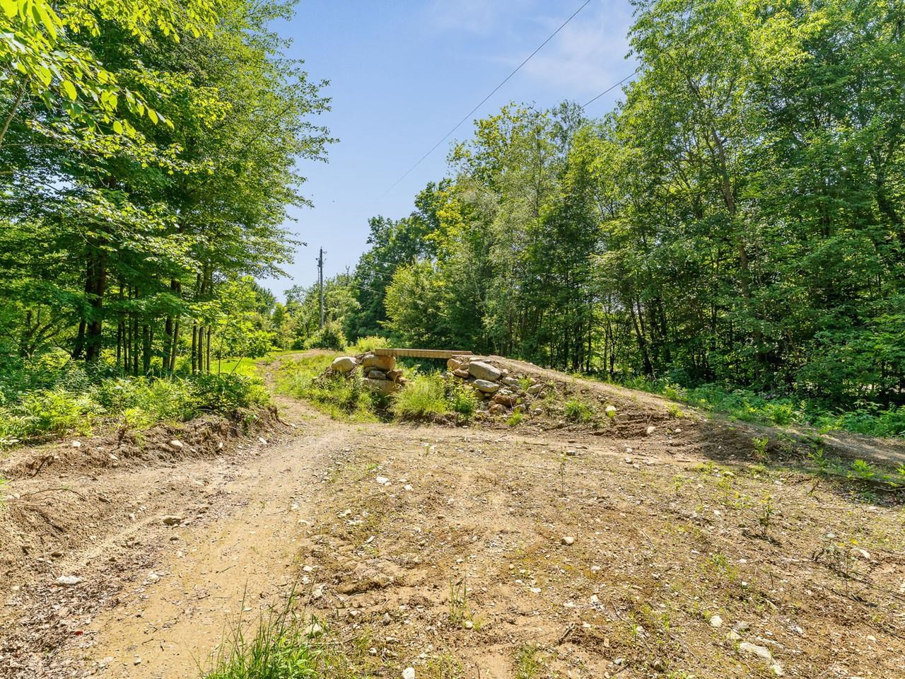 Pump track! (could be removed)